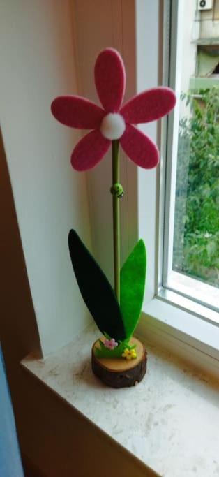 Cute Apartment Marla Art Close To Center بولا المظهر الخارجي الصورة