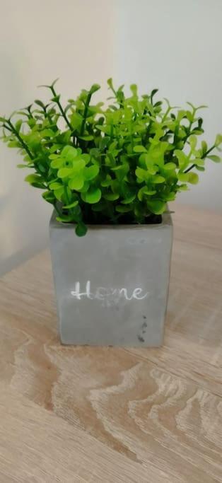 Cute Apartment Marla Art Close To Center بولا المظهر الخارجي الصورة